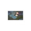 Magnet – Monet – Nenuphars | Cartexpo