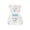 Pusculita – My First Teddy Bank | Lesser & Pavey