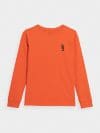 Tricou cu mânecă lungă cu imprimeu pentru băieți