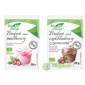 Budinca de Zmeura Ecologica/Bio 38g + Budinca de Cacao cu Merisoare Ecologica/Bio 40g