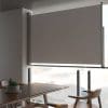 Copertină laterală retractabilă de terasă, gri, 160 x 300 cm