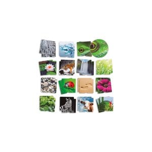 Joc de memorie tactilă – Mediul înconjurător