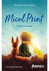 Micul print
