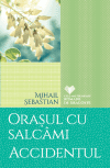 Orașul cu salcâmi. Accidentul