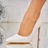 Pantofi dama stiletto Albi din Piele Ecologica Kaisa2