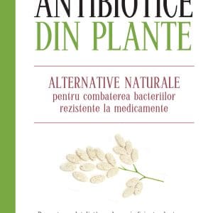 Antibiotice din plante. Alternative naturale pentru combaterea bacteriilor rezistente la medicamente