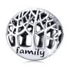 Talisman din argint Family Loves Me