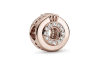 Talisman din argint S925 Elegance Charm DRGT0105