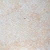 Limestone Sunny Dream French Pattern Periat, 1.2 cm