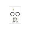 Magnet metal – Harry Potter – The boy who lived | Grupo Erik