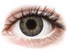 Lentile de contact colorate FreshLook ColorBlends Grey – fără dioptrie (2 lentile)