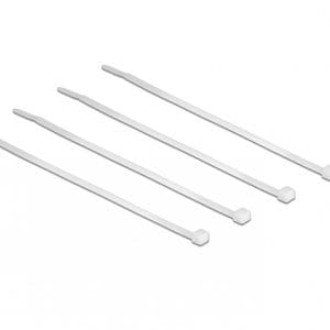 Bride transparente L 100 x W 2.5 mm 100 buc, Delock 18605