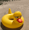 Colac in forma de ratusca | BigMouth Inc