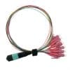 Cablu Fanout MPO – 12 x LC OM4 LSOH 2m, Value 21.99.1100
