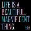 Magnet – Life is a Beatiful | Northshire