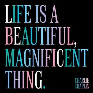 Magnet – Life is a Beatiful | Northshire