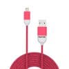 Cablu Lightning USB – Pantone – Pink | Balvi