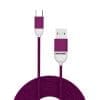 Cablu USB C – Pantone – Purple | Balvi