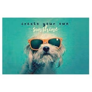 Suport card cu protectie antifrauda – Moneyguard – Create your sunshine | Chic mic