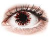 Lentile de contact colorate CRAZY LENS – Harlequin Black – lentile zilnice fără dioptrie (2 lentile)