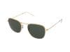 Ochelari de soare Ray-Ban Frank RB3857 919631