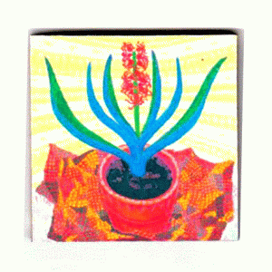 Magnet – Zambila | Mayon