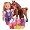 Set de Joaca Simba Evi Love Doctor Welcome Horse cu Figurina Cal si Accesorii