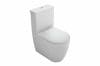 Vas WC Coral BTW cu rezervor si capac wc