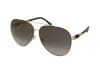 Ochelari de soare Jimmy Choo Gray/S RHL/FQ