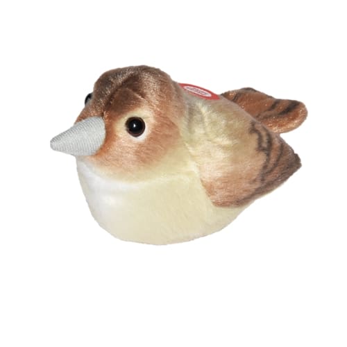 65637