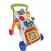 Antepremergator Multifunctional Lorelli cu Centru de Activitati Funny Multicolor