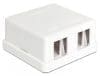 Carcasa Keystone perete 2 Porturi alb, Delock 86207