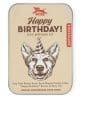 Kit pentru petrecere – Dog Birthday | Kikkerland
