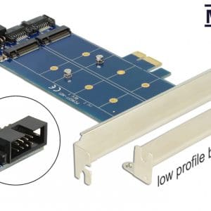 PCI Express cu 2 x M.2 NGFF key B, Delock 89374