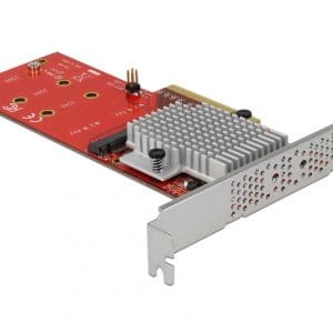 PCI Express cu 2 porturi interne NVMe M.2 Key M LPFF, Delock 90305