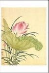 Magnet Pomegranate – Lotus | Pomegranate