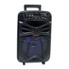 Boxa Portabila Wireless TWS Bluetooth/FM/AUX/TF/USB, Lumini LED, Microfon, Telecomanda