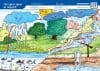 Circuitul apei în natură – planșă didactică A3