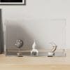 Cutie de prezentare, transparent, 31x17x19 cm, acril