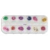 Flori naturale set 12 Treasure