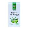 Tinctură de Măslin, 50ml | Steaua Divină