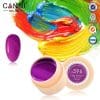 Gel color CANNI 5ml 596