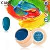 Gel color CANNI 5ml 618