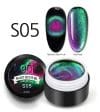 Gel color CANNI Galaxy Cat Eye S05