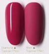 Gel color Conny’s Red R30