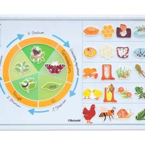 Joc cu 30 de piese magnetice – Ciclul de viață la animale