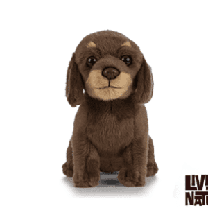 Jucărie de pluș – Cățeluș Dachshund (Teckel)