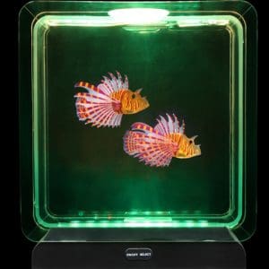 Lampă acvariu cu 2 pești tropicali (formă pătrată)