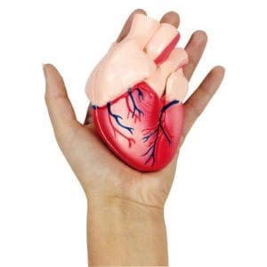 Machetă – Inimă, 12 x 7 x 8 cm