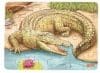 Puzzle cu 24 de piese din lemn – Crocodil